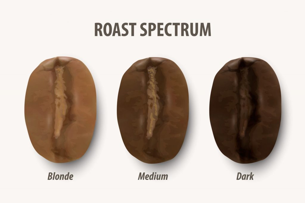 Coffee Roast Spectrum
