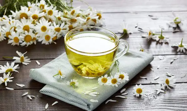 Picture of Chamomile herbal tea with flower buds nearby on wooden table with textile and camomile bouquet