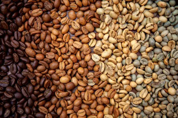 Picture of different levels of roasting coffee beans